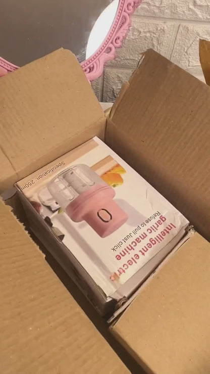 Electric Mini Chopper 250ml Electric Vegetable Chopper